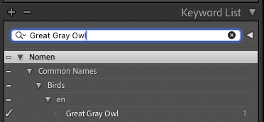 Lightroom's Keyword List: Nomen, Common Names, Birds, en, Great Gray Owl.